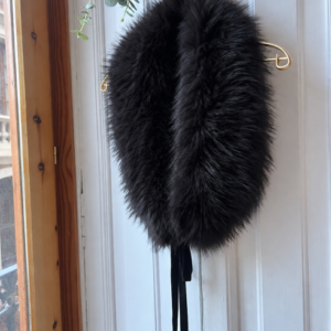 Cuello negro racoon
